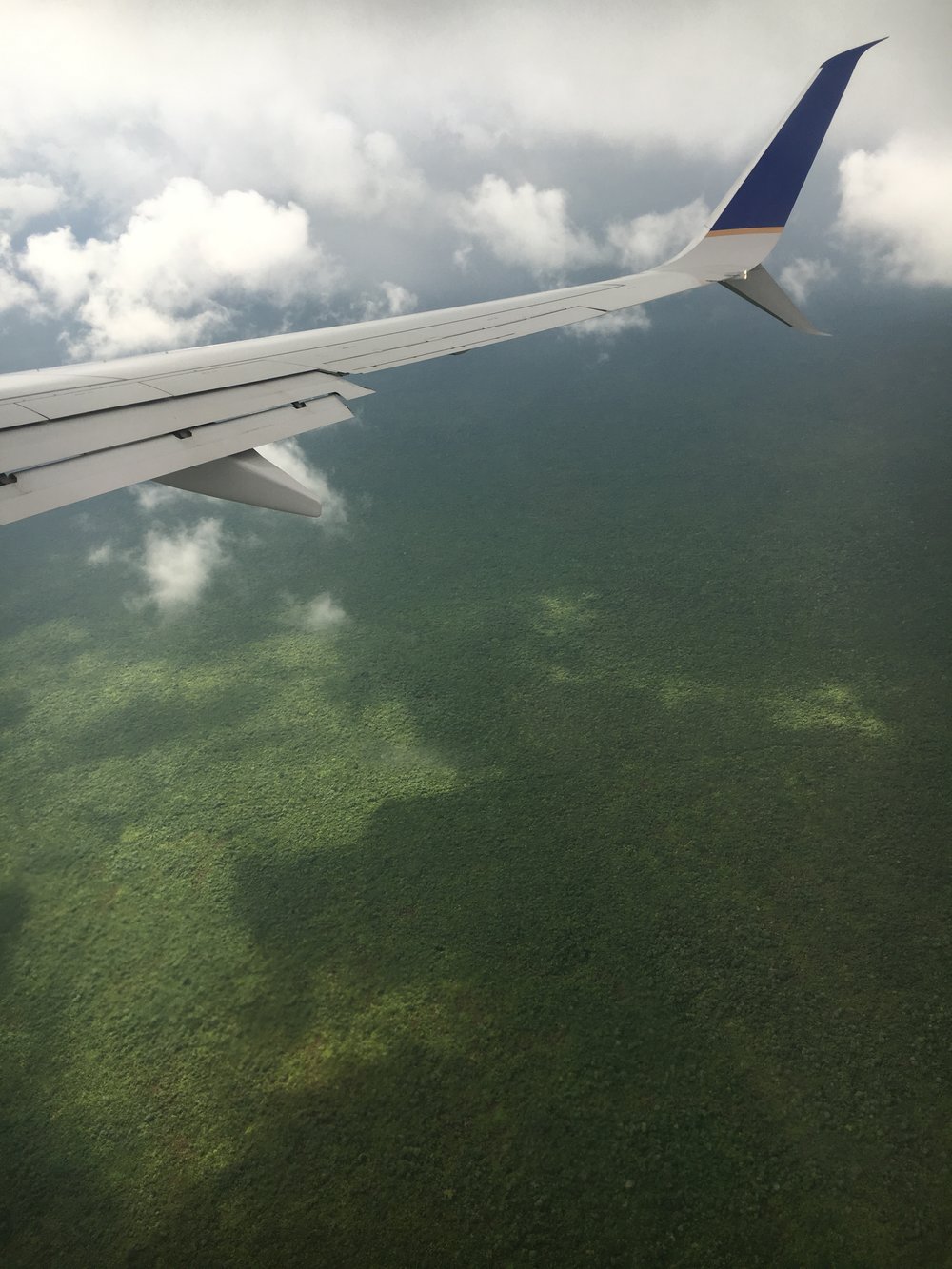 dense-mexican-forest-from-airplane