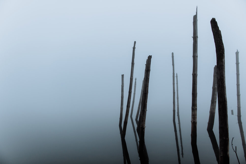 merrill-creek-reservoir-dense-fog
