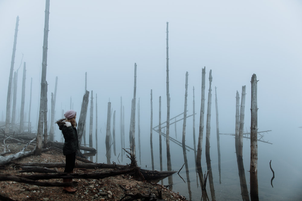 merrill-creek-reservoir-fog-photography