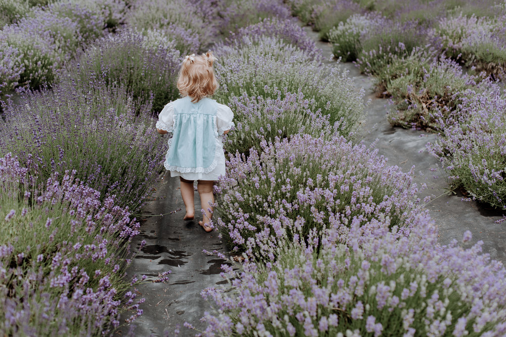 peace-valley-lavender-farm-natural-lehigh-valley-boho-photography