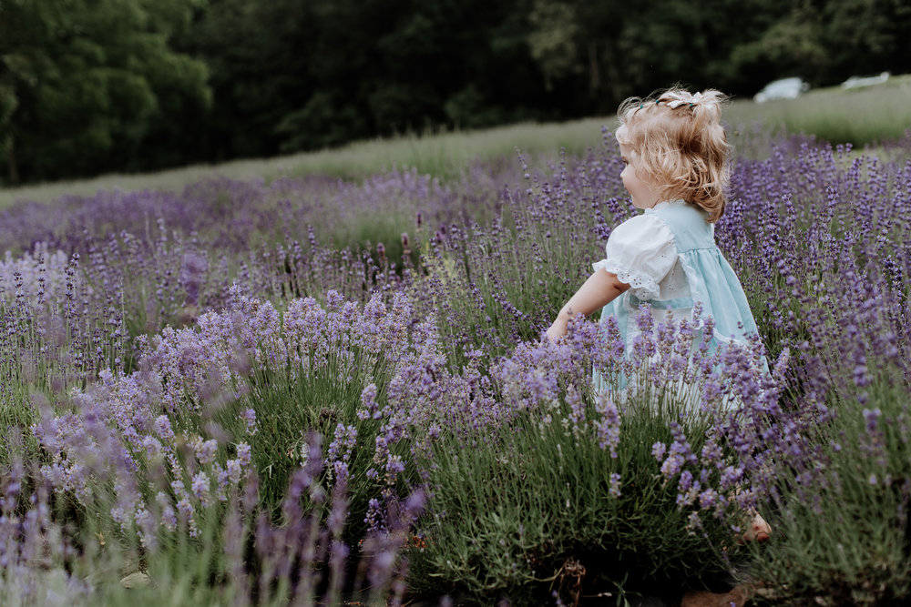 peace-valley-lavender-farm-natural-philadelphia-photography-3