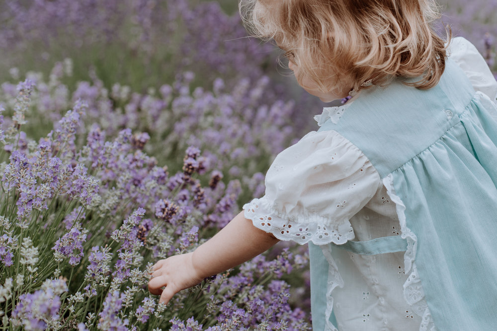 peace-valley-lavender-farm-natural-photography-candid
