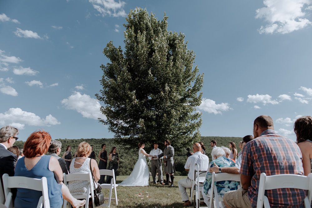 lehigh-valley-tree-wedding