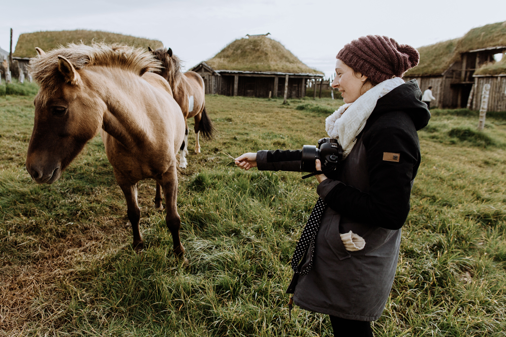 icelandic-horses-skaftafell