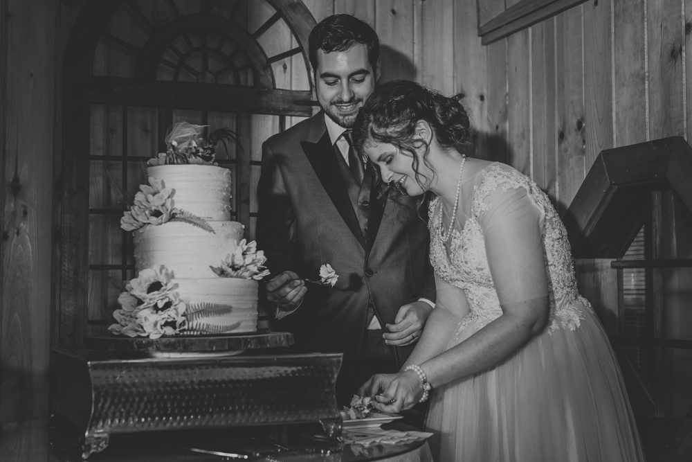 kings-mills-wedding-reception-photography-cake-cutting