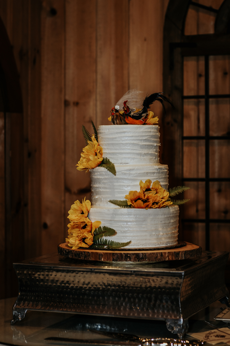 kings-mills-wedding-reception-photography-cake