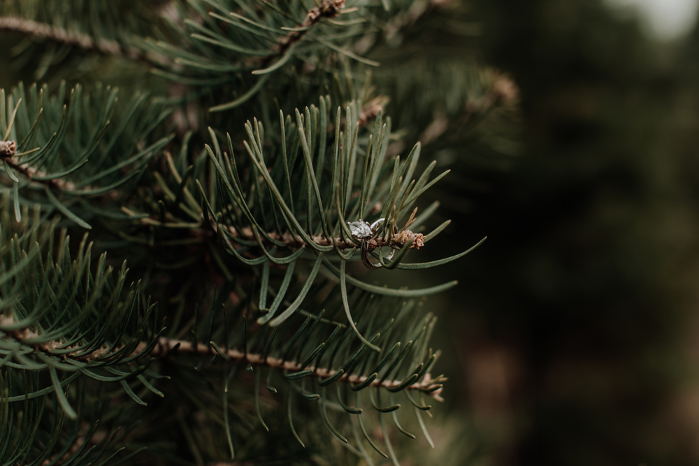 perfect-christmas-tree-farm-nj-engagement-ring