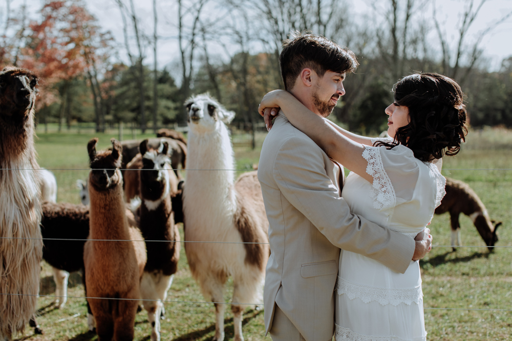 woods-edge-alpaca-farm-wedding-photography-2