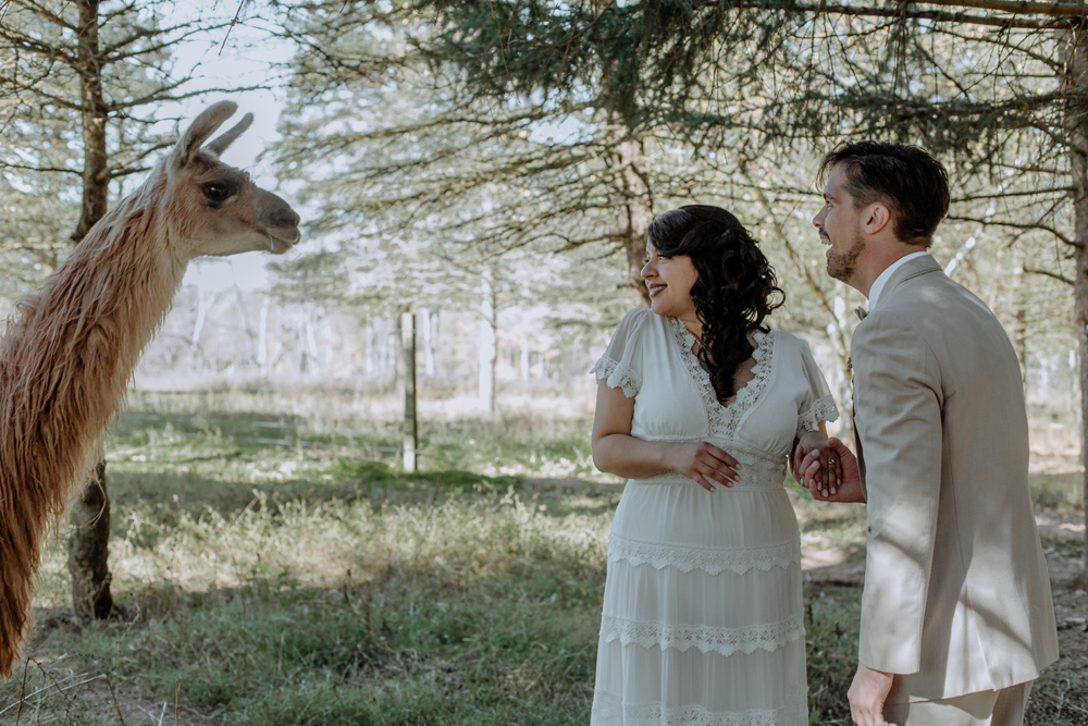 woods-edge-alpaca-farm-wedding-photography-first-look-3