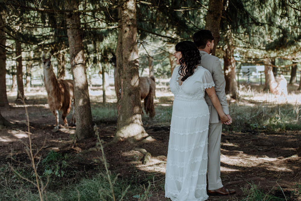 woods-edge-alpaca-farm-wedding-photography-first-look