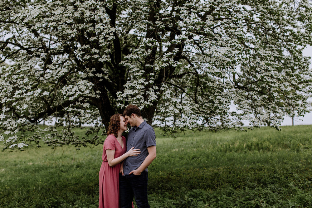 valley-forge-pa-lehigh-valley-engagement-photography-nature