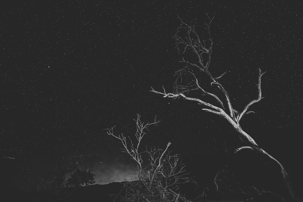 astrophotography-night-sky
