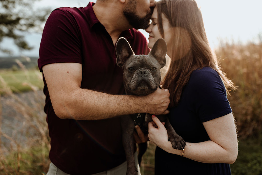couples-maternity-photos-with-frenchie-1