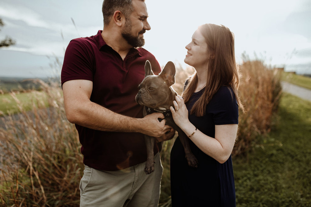 couples-maternity-photos-with-frenchie