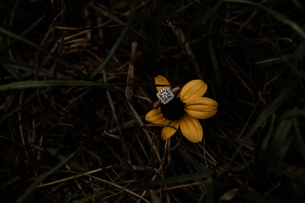 lehigh-valley-engagement-photography-ring