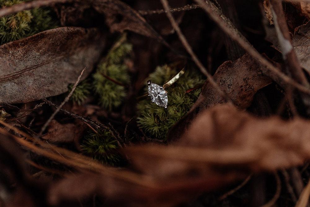 fall-engagement-session-brilliant-earth-diamond-ring