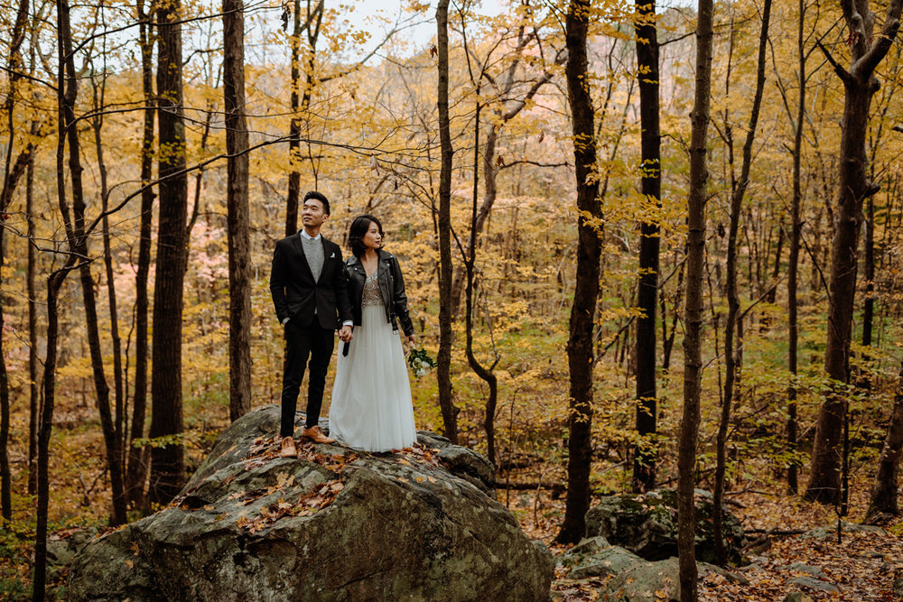 allamuchy-state-park-engagement-photography