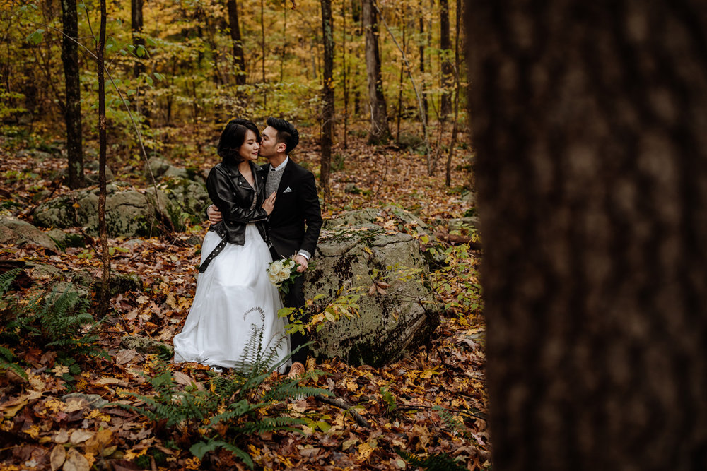 allamuchy-state-park-engagement-photography-2
