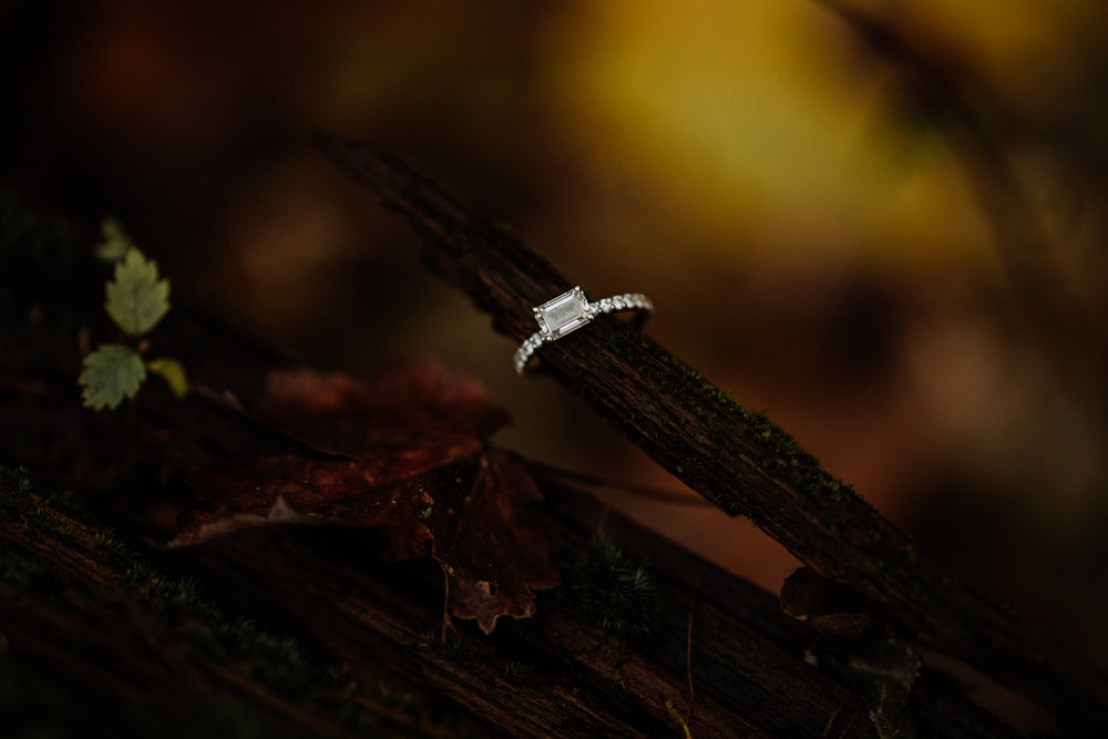 new-jersey-engagement-photography-3