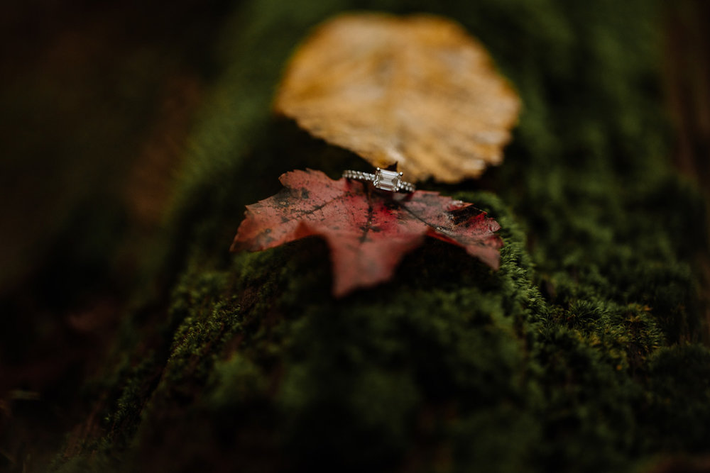 new-jersey-engagement-photography-4