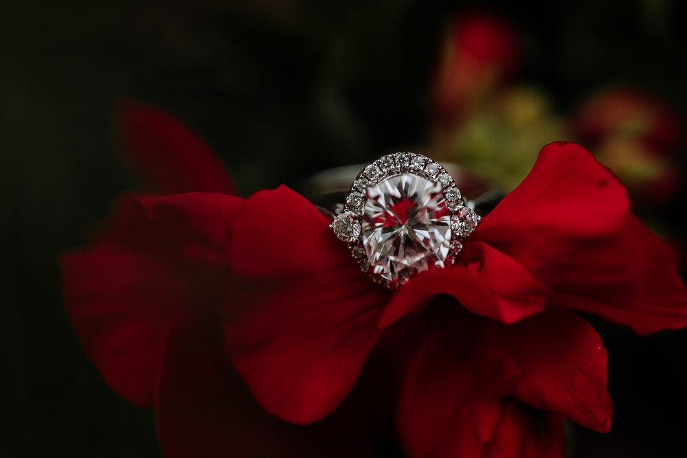 crisp-engagement-ring-photography