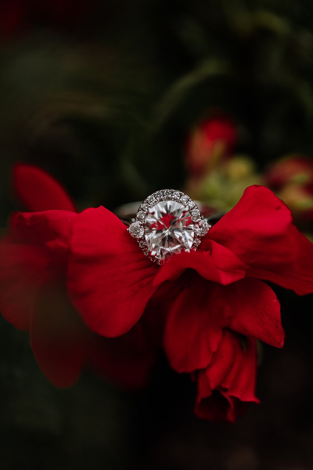 engagement-ring-photography-2