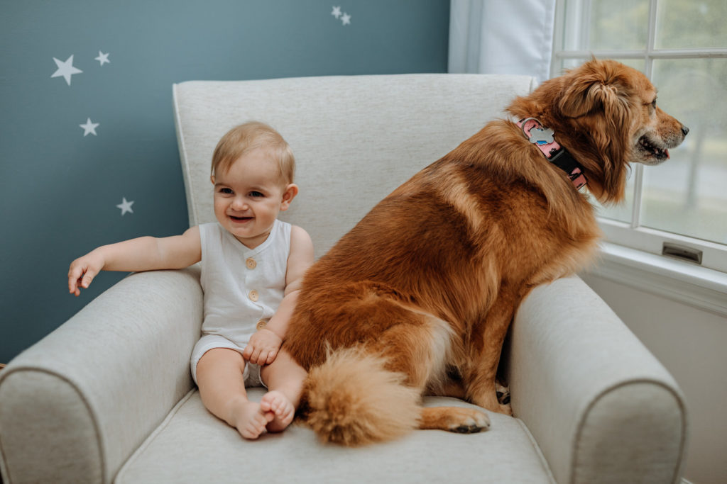 Boy toddler laughing and sitting on a couch with golden retriever dog 