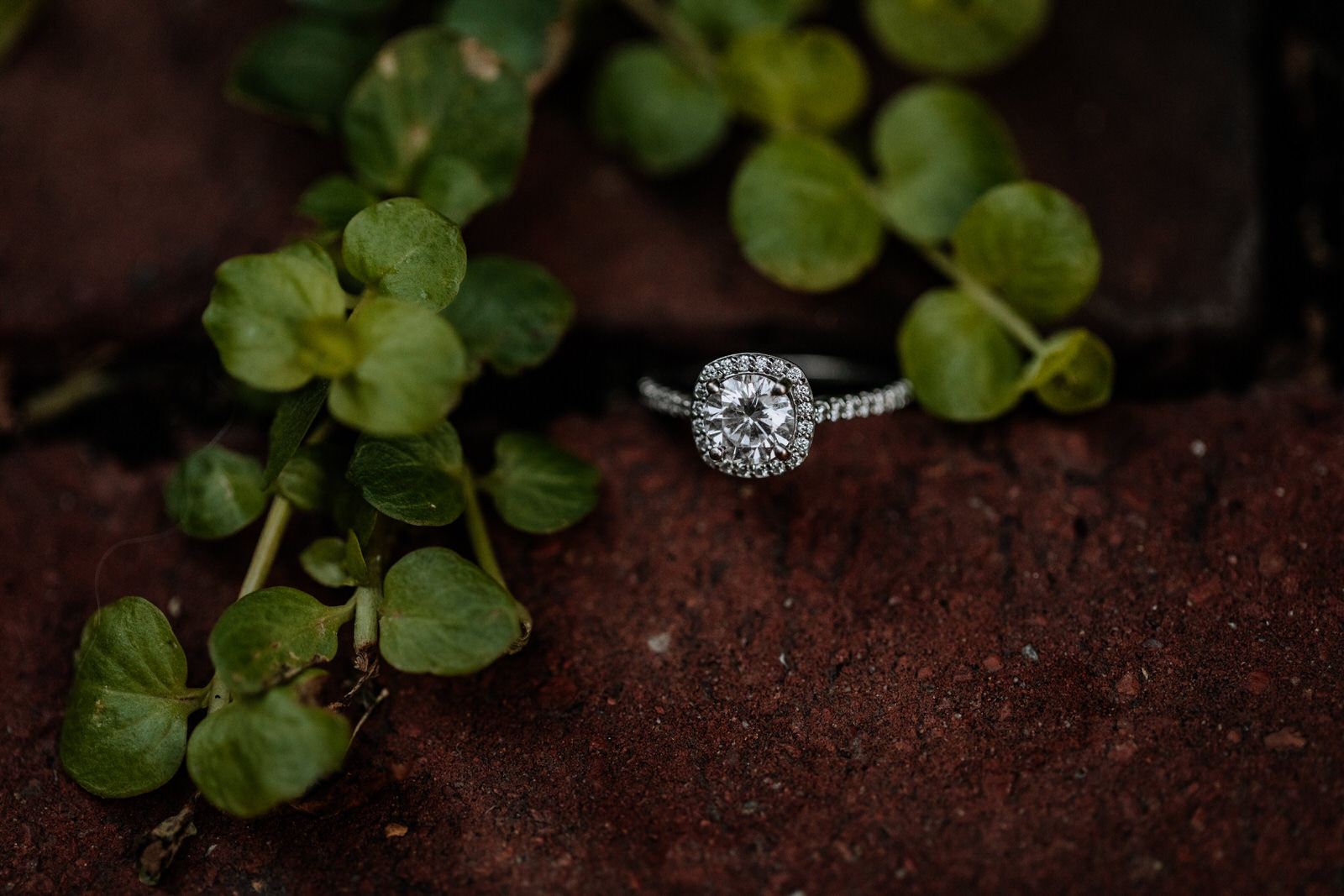 Photograph of an engagement ring in between bricks
