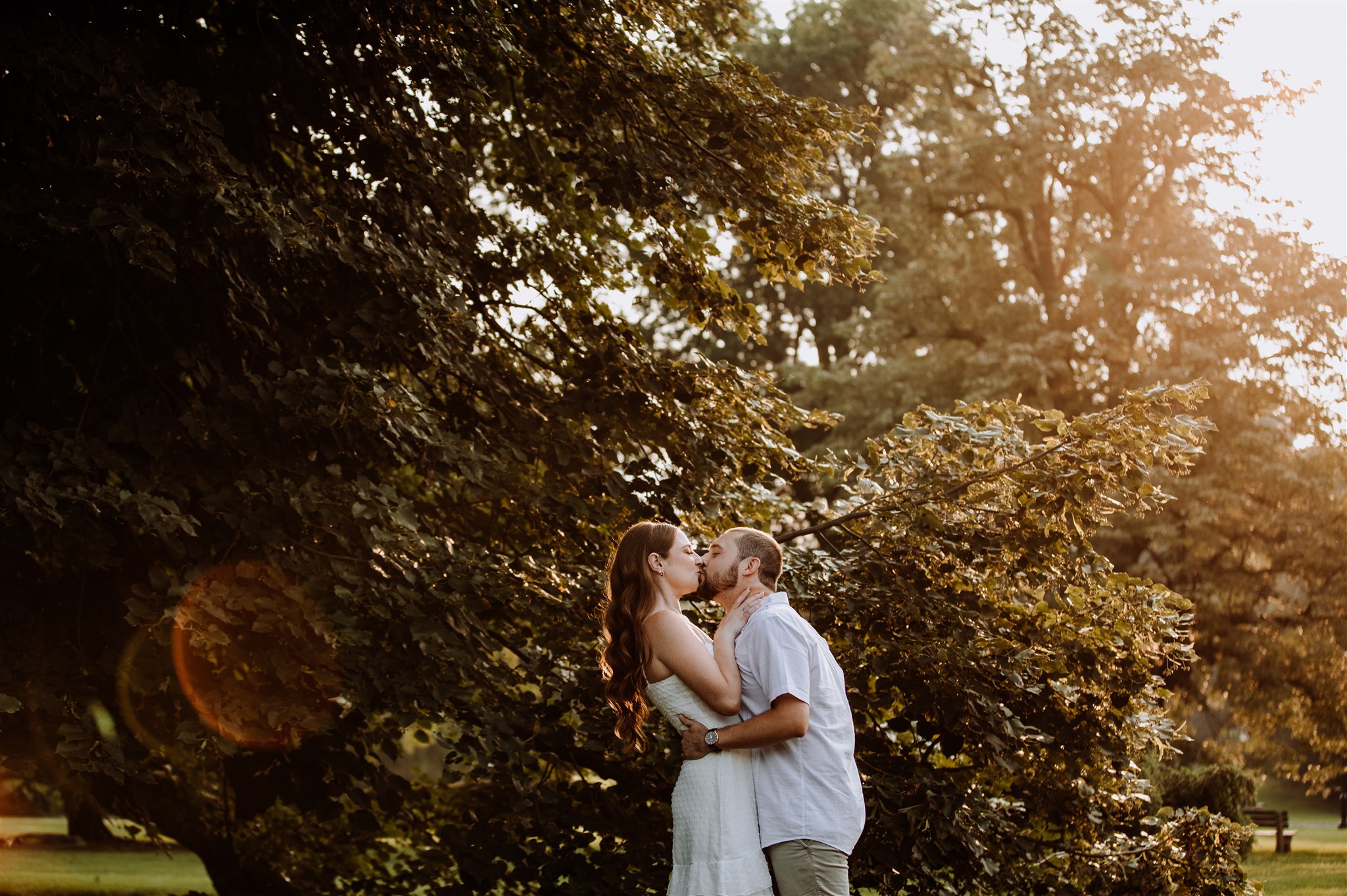 Couple kissing with tree behind them and sunflare